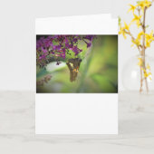 Schmetterling, Karte (Gelbe Blume)
