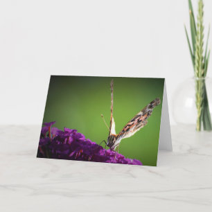 Schmetterling, Karte
