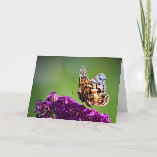 Schmetterling, Karte (Vorderseite)