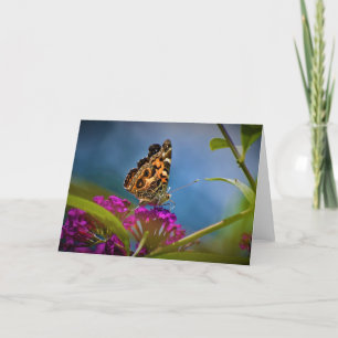 Schmetterling, Karte