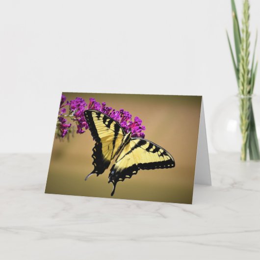 Schmetterling, Karte (Vorderseite)