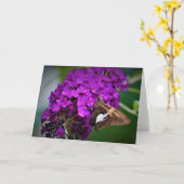 Schmetterling, Karte (Gelbe Blume)