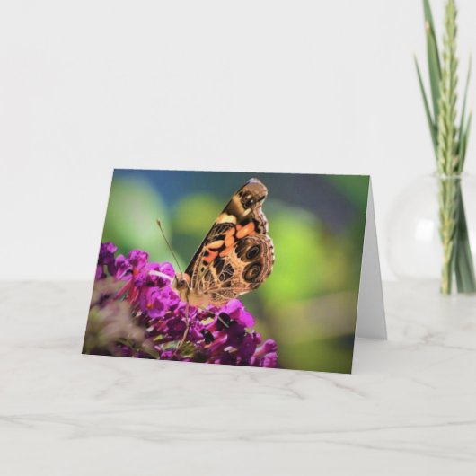 Schmetterling, Karte (Vorderseite)