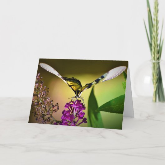 Schmetterling, Karte (Vorderseite)