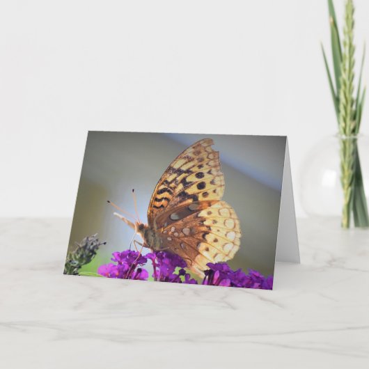 Schmetterling, Karte (Vorderseite)