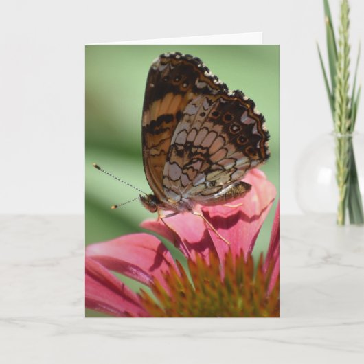 Schmetterling, Karte (Vorderseite)