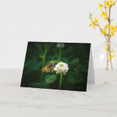 Schmetterling, Karte (Gelbe Blume)