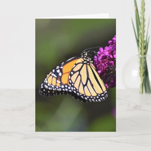 Schmetterling, Karte (Vorderseite)