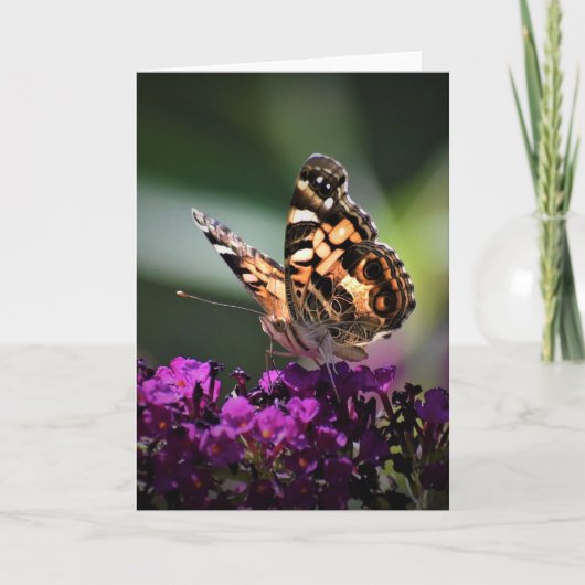 Schmetterling, Karte (Vorderseite)