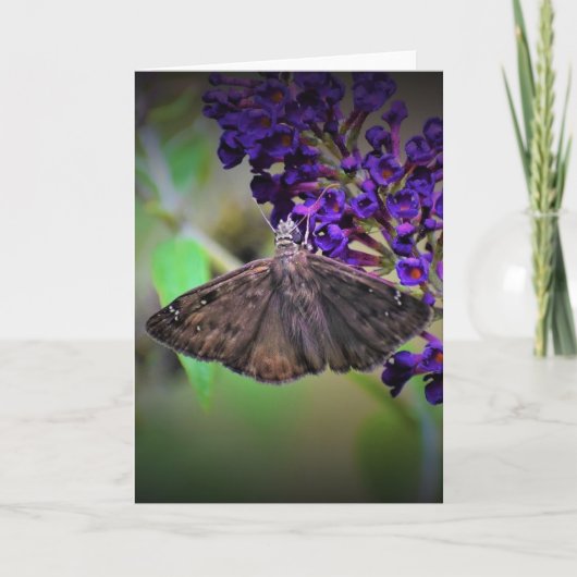 Schmetterling, Karte (Vorderseite)