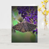 Schmetterling, Karte (Gelbe Blume)