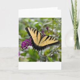 Schmetterling, Karte