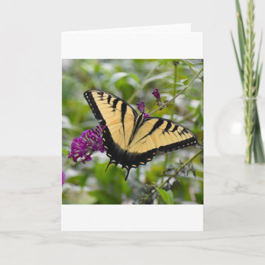 Schmetterling, Karte (Vorderseite)