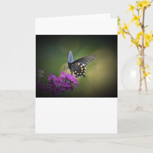 Schmetterling, Karte (Gelbe Blume)