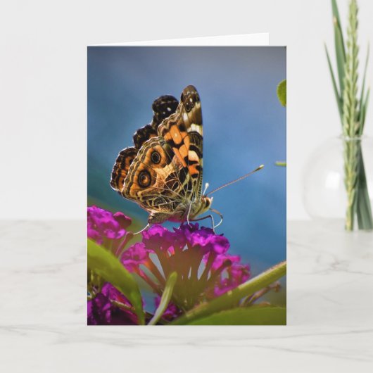 Schmetterling, Karte (Vorderseite)