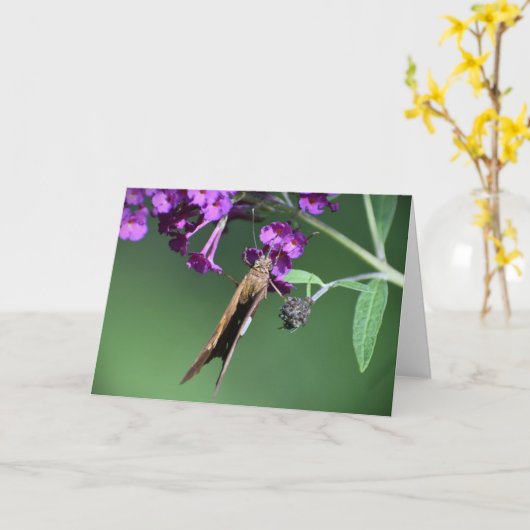 Schmetterling, Karte (Gelbe Blume)