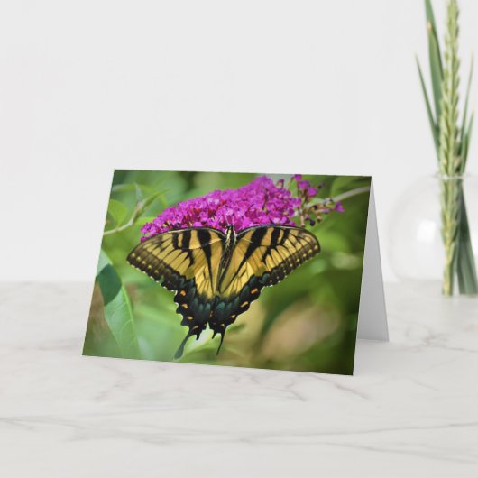Schmetterling, Karte (Vorderseite)