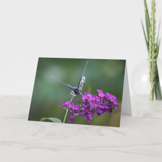 Schmetterling, Karte (Vorderseite)