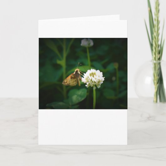 Schmetterling, Karte (Vorderseite)