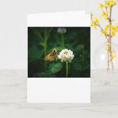 Schmetterling, Karte (Gelbe Blume)