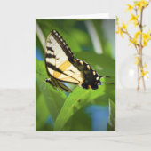 Schmetterling, Karte (Gelbe Blume)