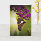 Schmetterling, Karte (Gelbe Blume)