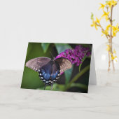 Schmetterling, Karte (Gelbe Blume)