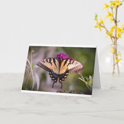 Schmetterling, Karte (Gelbe Blume)