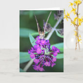 Schmetterling, Karte (Gelbe Blume)