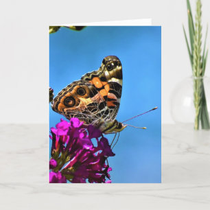 Schmetterling, Karte