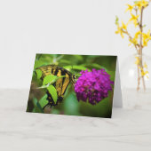 Schmetterling, Karte (Gelbe Blume)