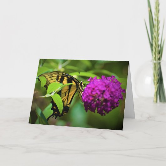 Schmetterling, Karte (Vorderseite)