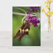 Schmetterling, Karte (Gelbe Blume)