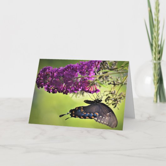 Schmetterling, Karte (Vorderseite)