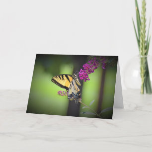 Schmetterling, Karte
