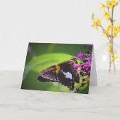 Schmetterling, Karte (Gelbe Blume)