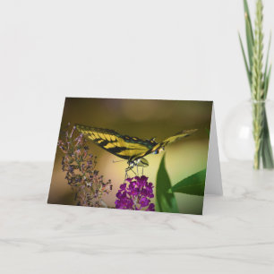 Schmetterling, Karte