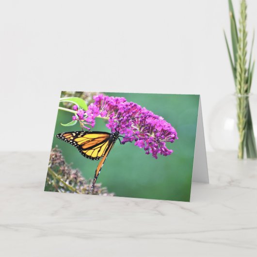 Schmetterling, Karte (Vorderseite)