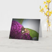 Schmetterling, Karte (Gelbe Blume)