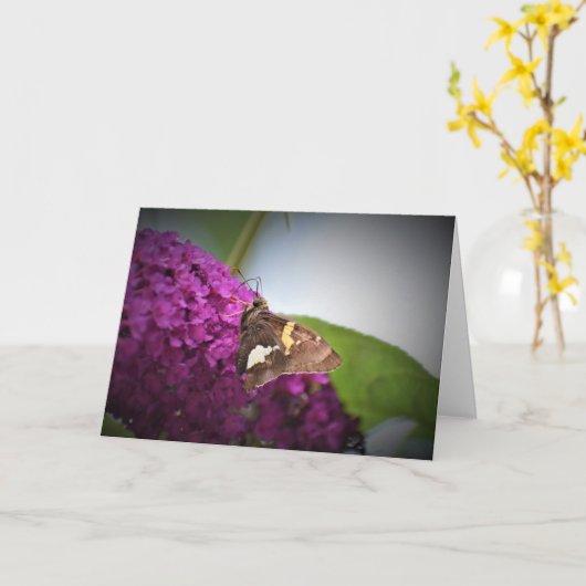 Schmetterling, Karte (Gelbe Blume)