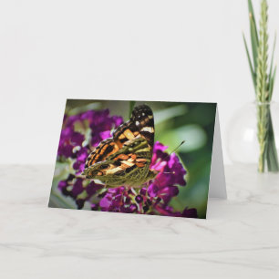 Schmetterling, Karte