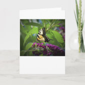 Schmetterling, Karte (Vorderseite)