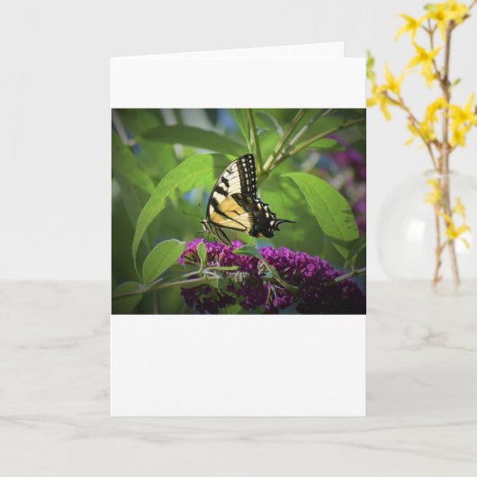 Schmetterling, Karte (Gelbe Blume)