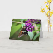 Schmetterling, Karte (Gelbe Blume)