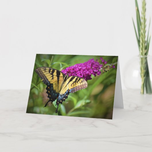 Schmetterling, Karte (Vorderseite)