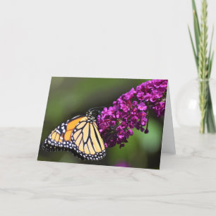 Schmetterling, Karte