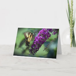 Schmetterling, Karte