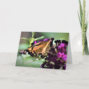 Schmetterling, Karte