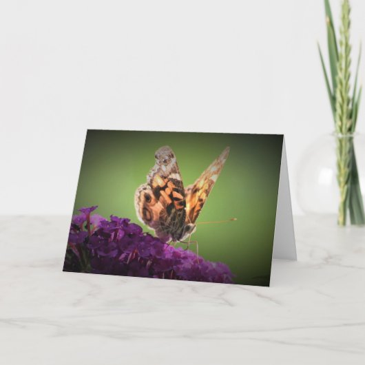 Schmetterling, Karte (Vorderseite)