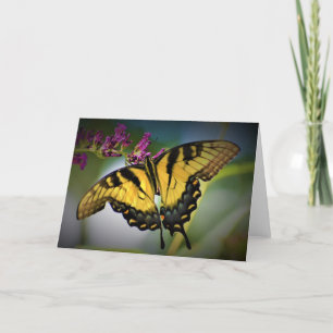 Schmetterling, Karte